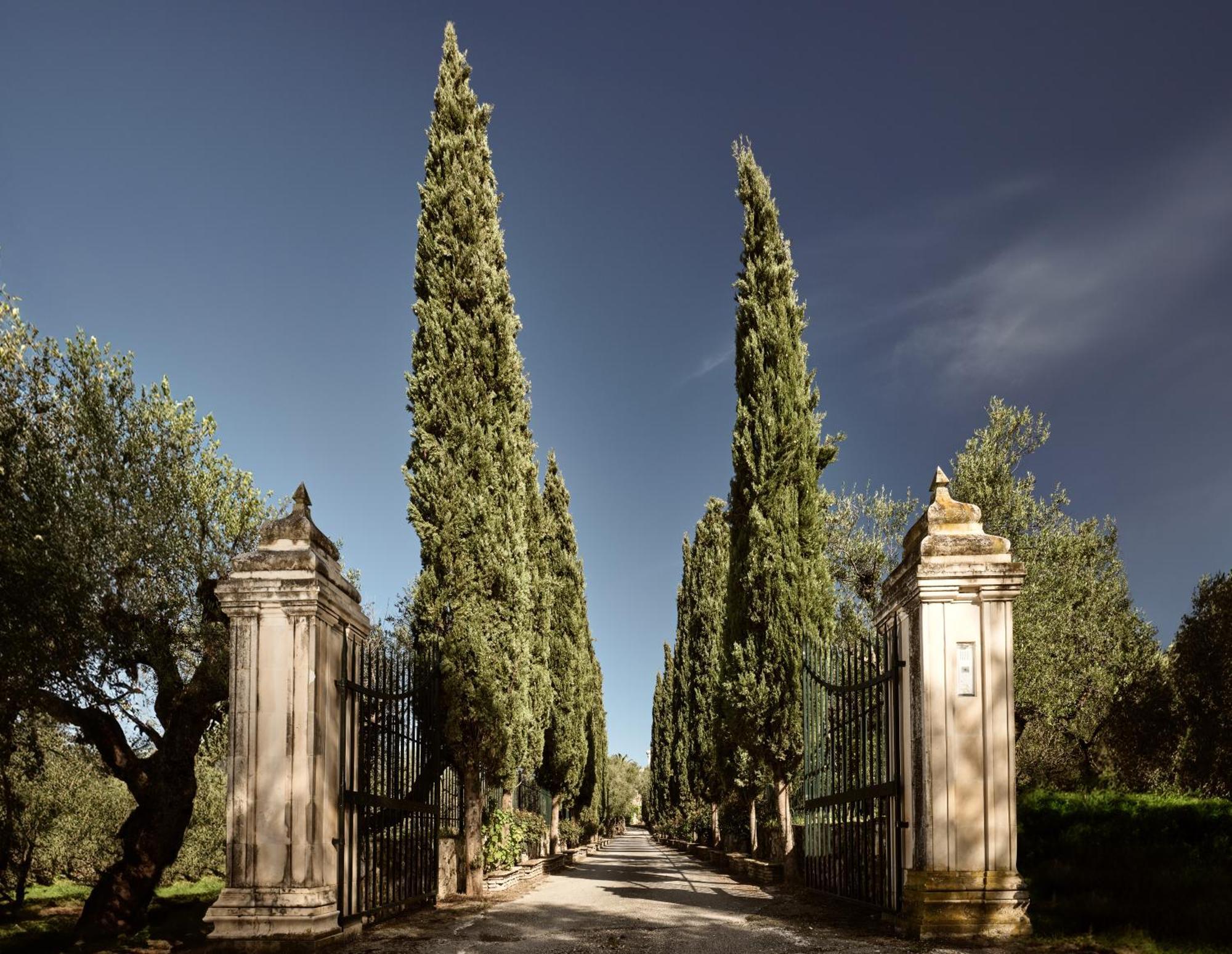 Almeira 4Acre Estate, For Unparalleled Seclusion, By Thinkvilla Закинтос Экстерьер фото