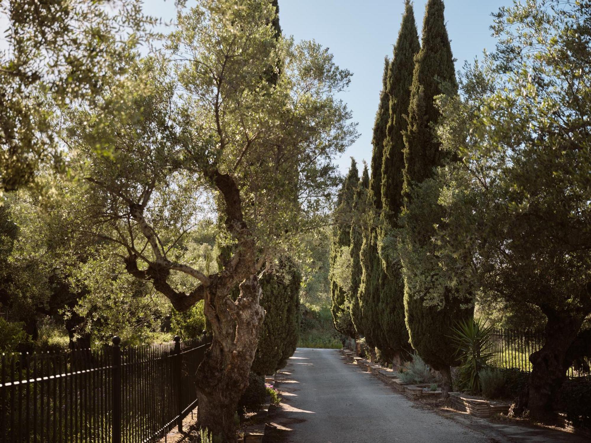Almeira 4Acre Estate, For Unparalleled Seclusion, By Thinkvilla Закинтос Экстерьер фото